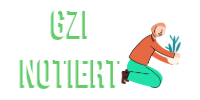 DocMorris Gutschein Test – GZI Notiert